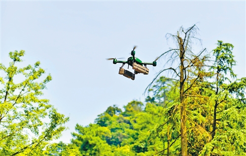 无人机应用如何在林区巡逻大展身手?(图2) 无人机应用如何在林区巡逻大展身手?(图2)